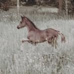 Tracey Seeley - @tracey.seeley.5 - Instagram