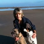Tracey Seeley - @seeleytracey - Instagram