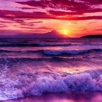 Tracy Shoemaker - @shoemaker.tracy - Instagram