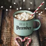 Tracy Shoemaker - @senorashoe - Instagram