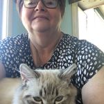 Tracey Simons - @simons_tracey - Instagram