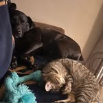 Tracey Singer - @tracey_singer - Instagram