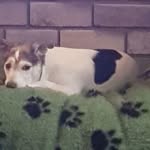 Tracey Singleton - @traceysingleton12 - Instagram