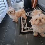 Tracey Smith - Facebook
