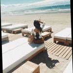 Tracey Springer - @traceyspringer223 - Instagram