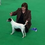 Tracey Stark - @traceystark1 - Instagram