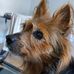 Tracey Stark - Facebook
