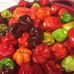 Tracey Starke - Facebook