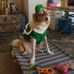 Tracy Stein - Facebook