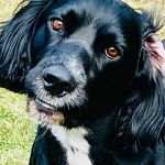 Tracey Stokes - @tracey.stokes.733 - Instagram