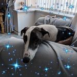 Tracey Stout - @tracey.stout.3701 - Instagram