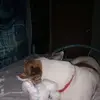 Tracy Stringfellow McLeod - @tracy.stringfello4 - TikTok