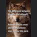 Tracey Leonard Swann - Facebook