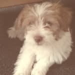 Tracey Teague - @tracey.teague.961 - Instagram