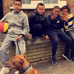 Tracey Stewart - @traceytewart66 - Instagram