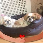 tracey tew - @traceytew9 - Instagram