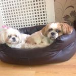tracey Tew - @tewtracey - Instagram