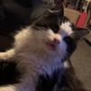 Tracey T. - @tracey.tobin - TikTok