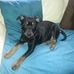 Tracey Tobin - Facebook