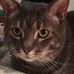 Tracey Tobin - Facebook