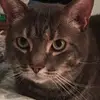 traceytobin2 - @traceytobin2 - TikTok