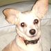 Tracy Trigg - Facebook