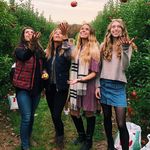 Tracey Vance - @tracey_vancec_3402 - Instagram
