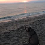 Private - @tracey.waite.3998 - Instagram