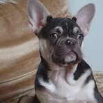 Tracey Waite - @waitetracey - Instagram