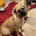 Tracey Waite - @tracex2003 - Instagram