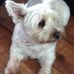 Tracey Ware - Facebook