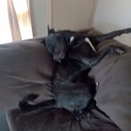 Tracey Watters - Facebook