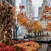 Tracey Weber-Stoffer - @tracey.weberstoff - TikTok
