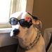 Tracy Weber - Facebook