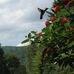 Tracey Whelan - Facebook