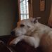 Tracy Whelan - Facebook