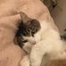 Tracey White - Facebook