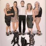 Tracey Wills - @traceywills - Instagram