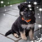Tracey Wills - @twills1970 - Instagram