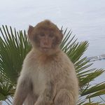 Tracey Wills - @tracey.wills2 - Instagram