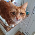 Tracey Wills - @tracey.wills.14 - Instagram