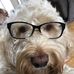 Tracey Winstone - Facebook