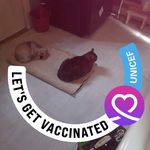 Tracey Winters - @winters2590 - Instagram