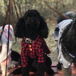 Tracey Winters - @bonnieblue2018 - Instagram