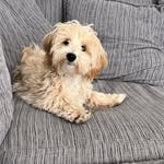Tracey Withers - @tracey_withers45 - Instagram