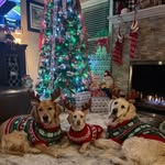 Tracey Mathieu Wittke - @traceywittke - Instagram