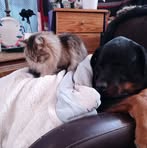 Tracey Washko-witt - Facebook