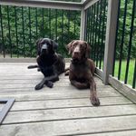 Traci Bailey - @traci.bailey.794 - Instagram