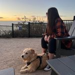 Traci Ball - @tnball - Instagram