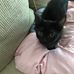 Traci Ball - Facebook